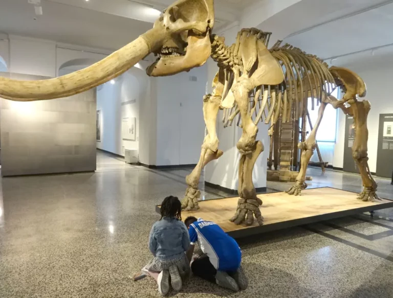 Zwei Kinder knien vor dem Skelett eines Mamuts im Museum Darmstadt im Rahmen des Diesterweg-Stipendium
