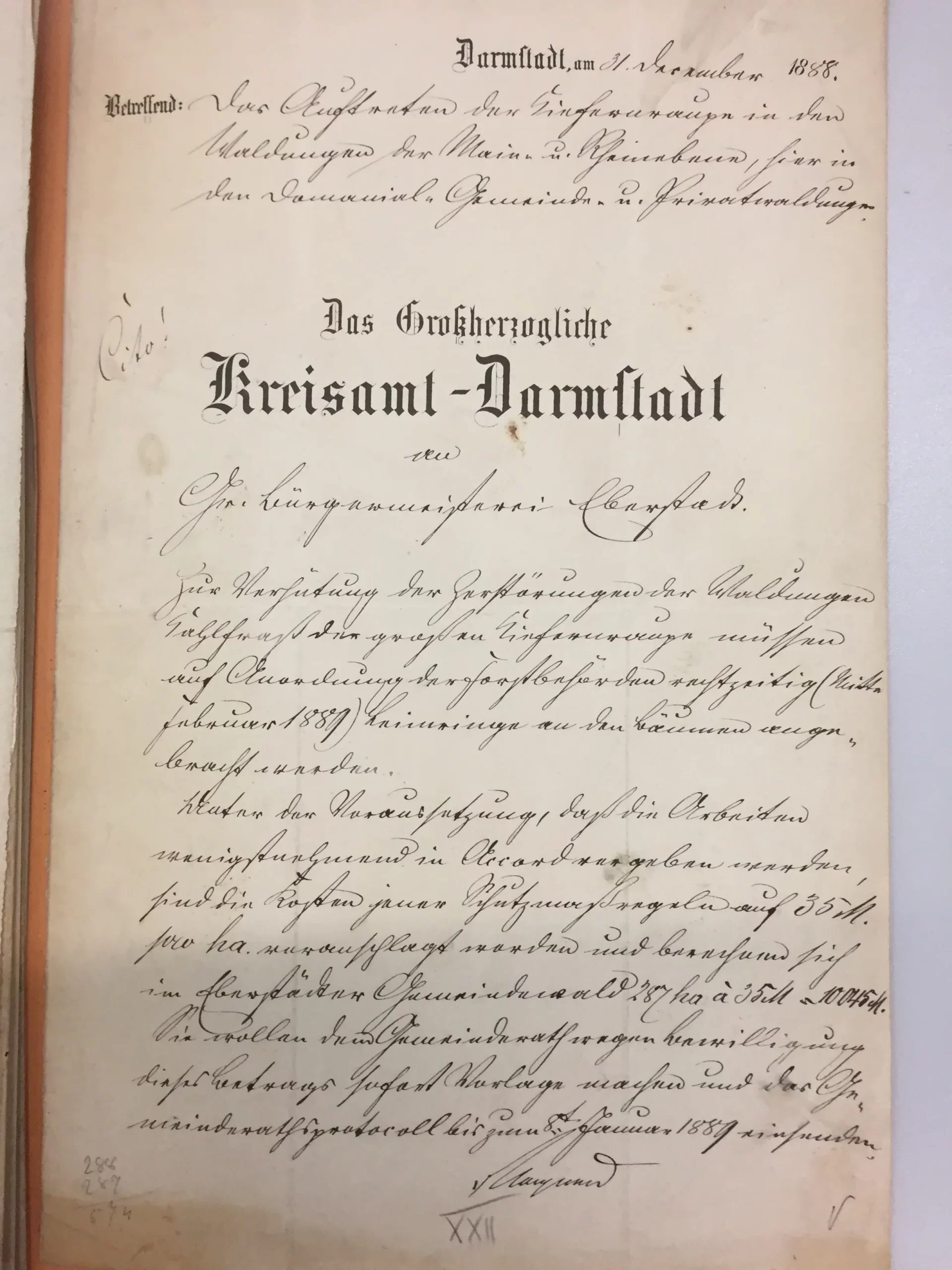 Ein handgeschriebenes deutsches Dokument mit dem Titel „Das Großherzogliche Kreisamt Darmstadt“, verfasst in eleganter Schrift und mit einer Textspalte am linken Rand. Das Papier wirkt gealtert, der Text ist mit schwarzer Tinte geschrieben.